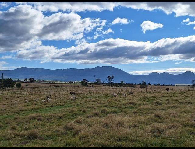 FARM FOR SALE IN GEORGE RURAL